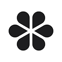 Scanate/Fellow