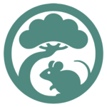 Linzumi