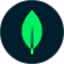 mongodb.com
