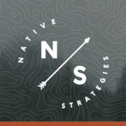 Native Strategies